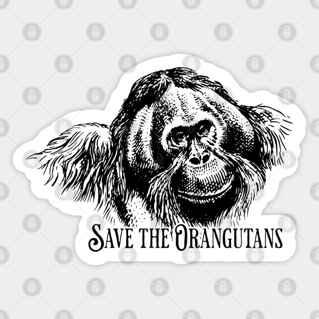 International Orangutan Day Sticker by HolidayBug